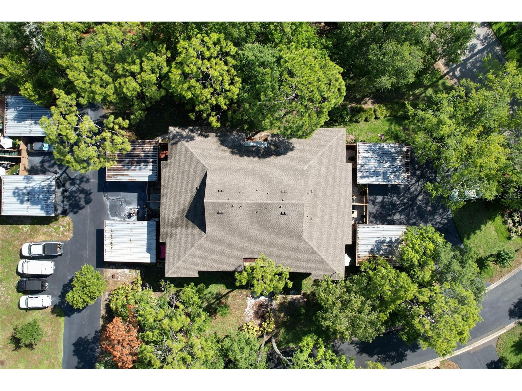 1006 Lennox Road W #1006 Palm Harbor FL 34683 TB8508324 image3