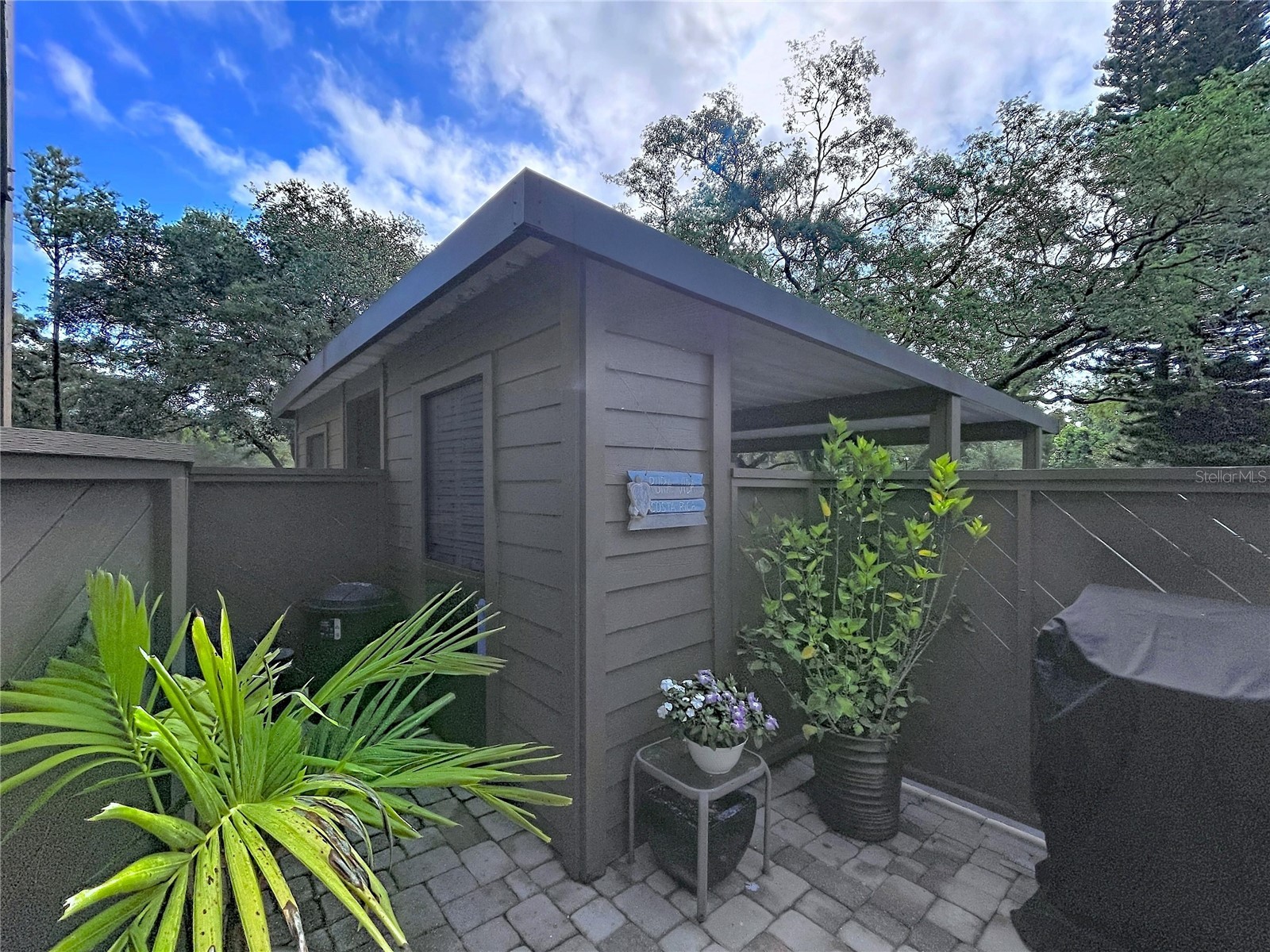 1006 Lennox Road W #1006 Palm Harbor FL 34683 TB8508324 image31