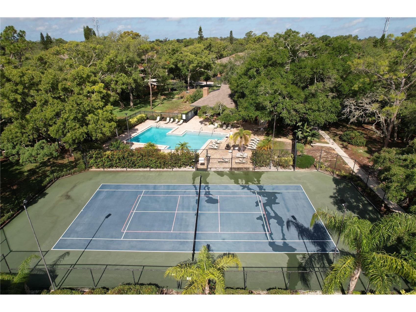 1006 Lennox Road W #1006 Palm Harbor FL 34683 TB8508324 image38