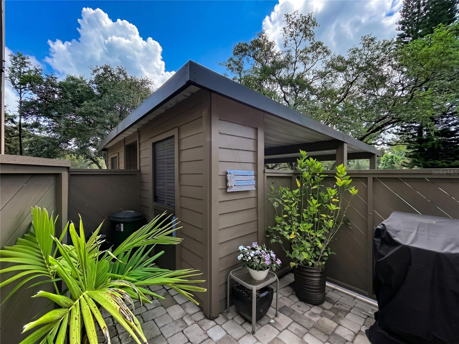 1006 Lennox Road W #1006 Palm Harbor FL 34683 TB8508324 image4
