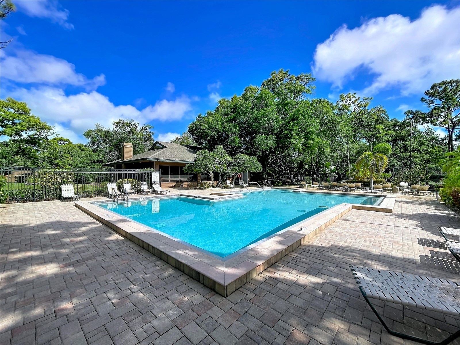 1006 Lennox Road W #1006 Palm Harbor FL 34683 TB8508324 image41