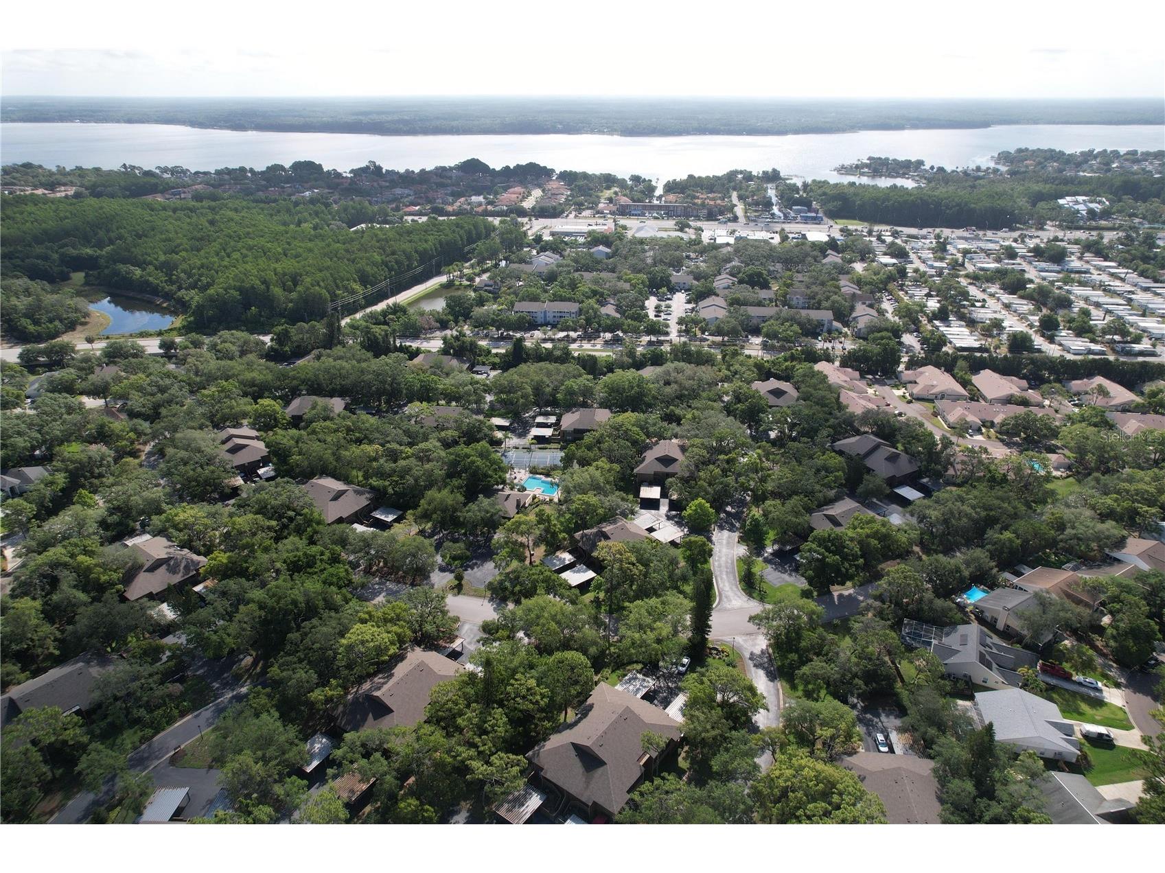 1006 Lennox Road W #1006 Palm Harbor FL 34683 TB8508324 image42