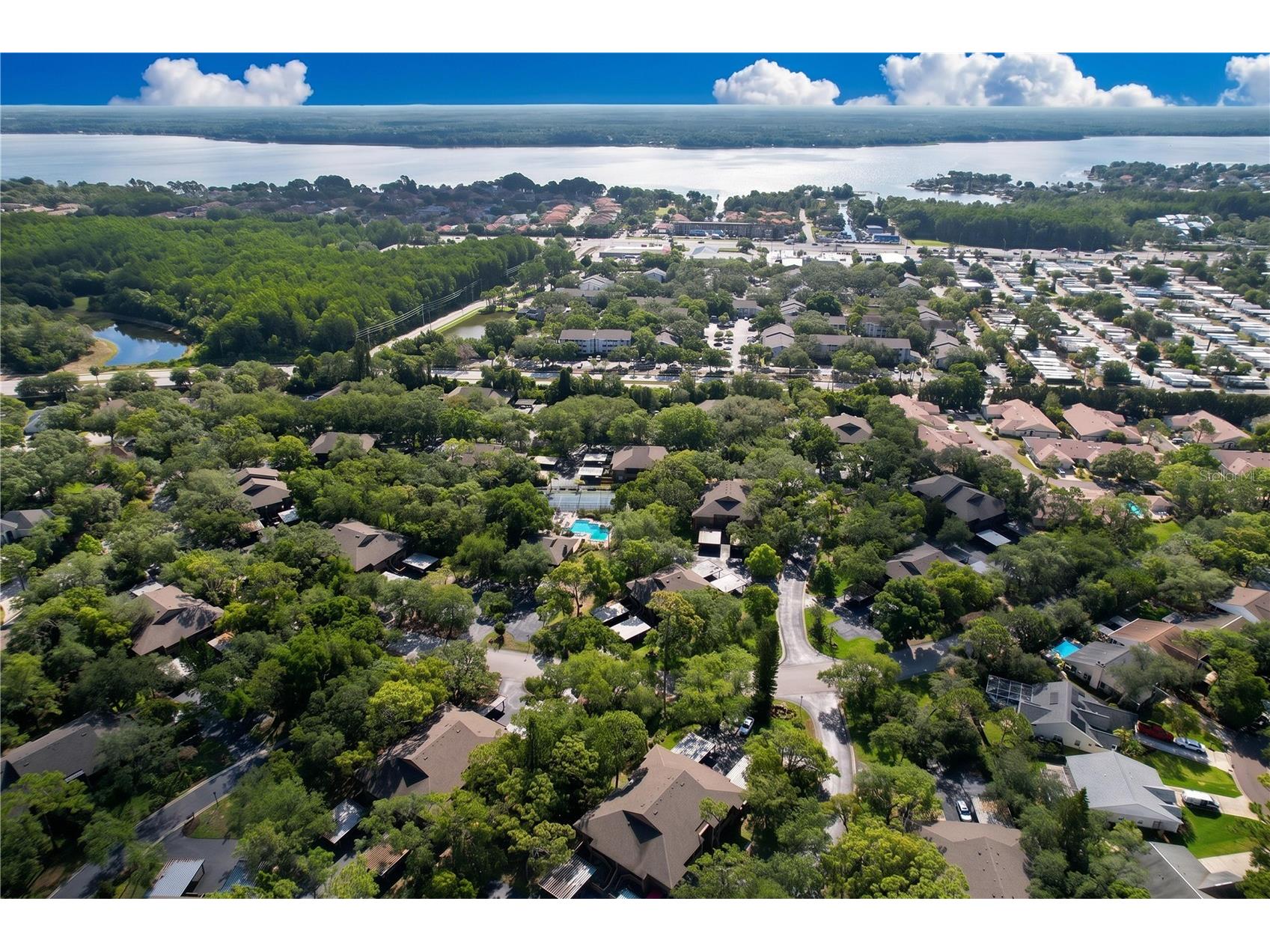 1006 Lennox Road W #1006 Palm Harbor FL 34683 TB8508324 image43