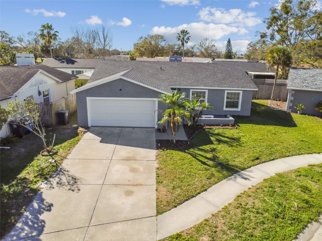 1006 Pinehaven Court Brandon FL 33511 T3425963 image1