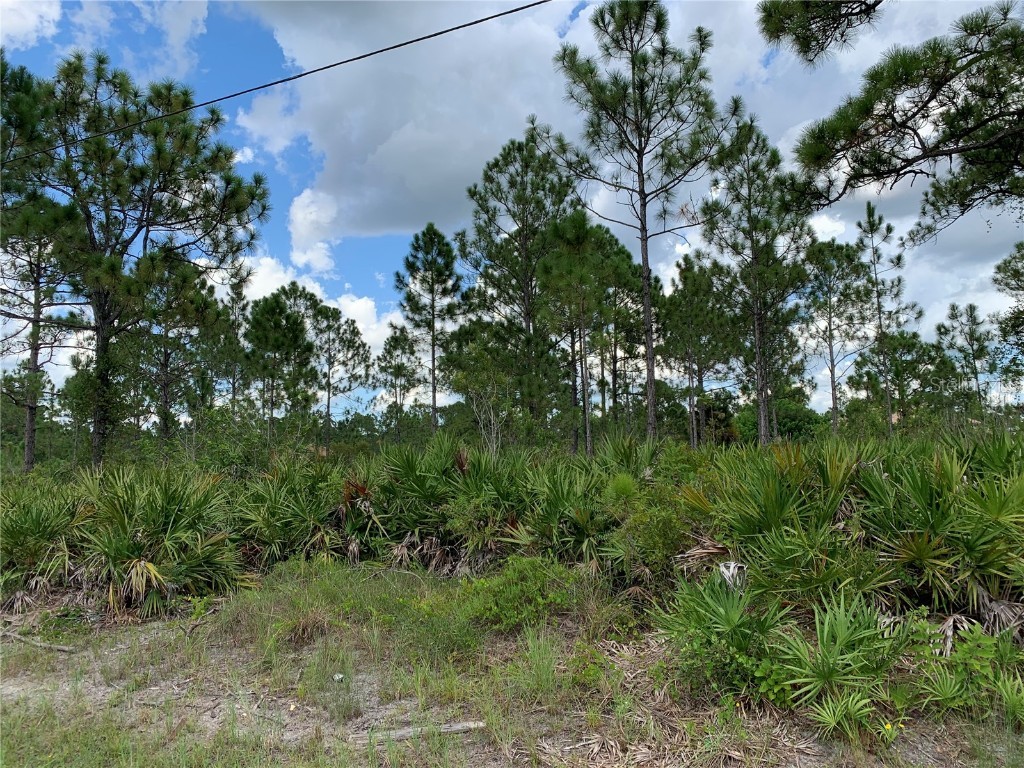 1006 Rush Avenue Lehigh Acres FL 33972 O5975939 image1