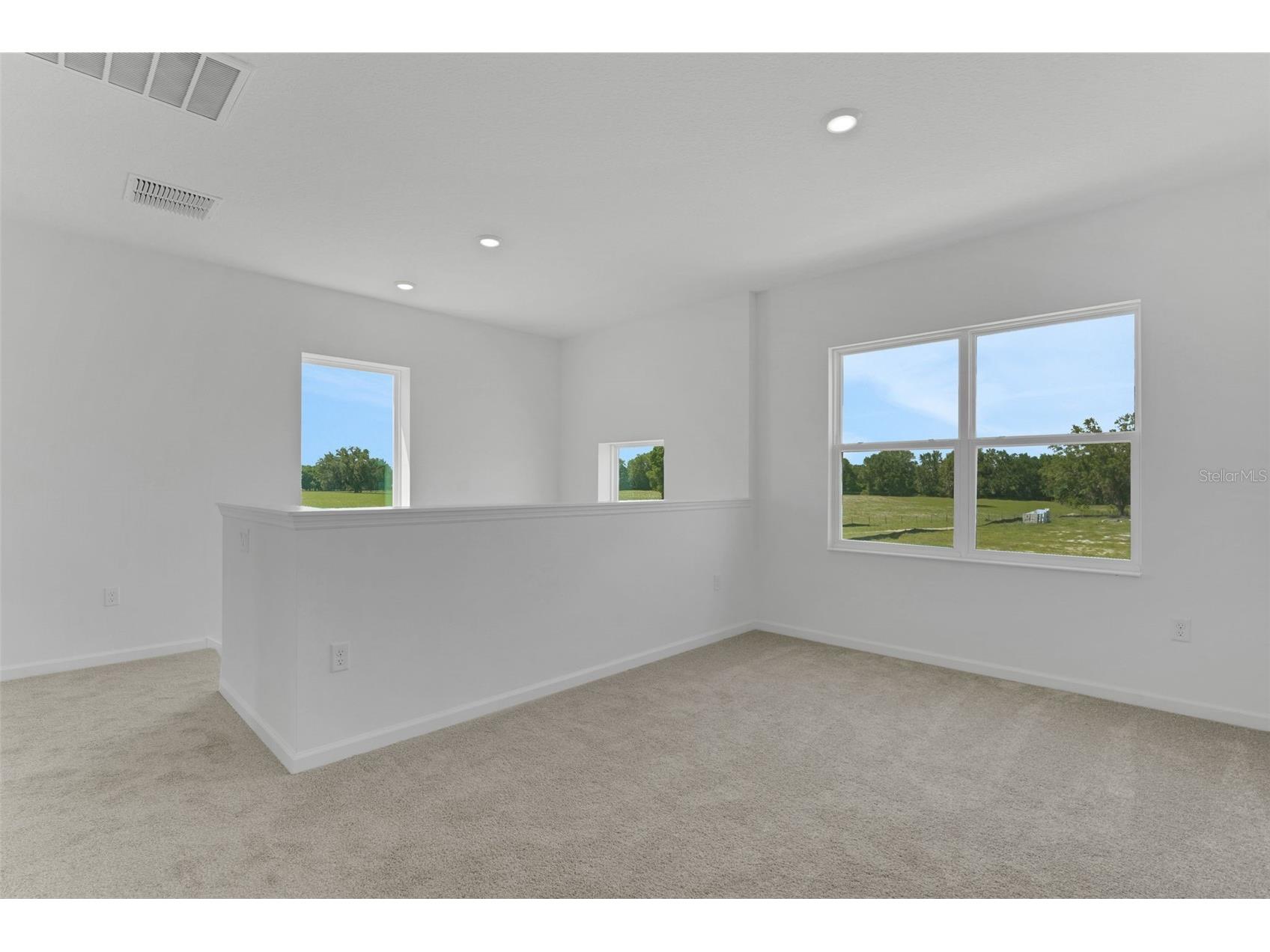 1006 Swamp Chestnut Loop Lady Lake FL 32159 G5113712 image18