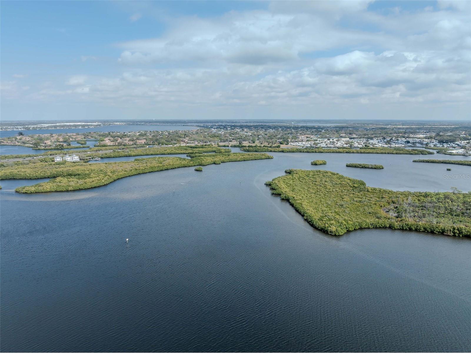 1006 Tropical Bradenton FL 34208 - BRADEN RIVER TB8513008 image14