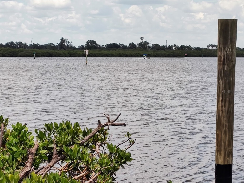 1006 Tropical Drive Bradenton FL 34208 - BRADEN RIVER TB8398551 image40