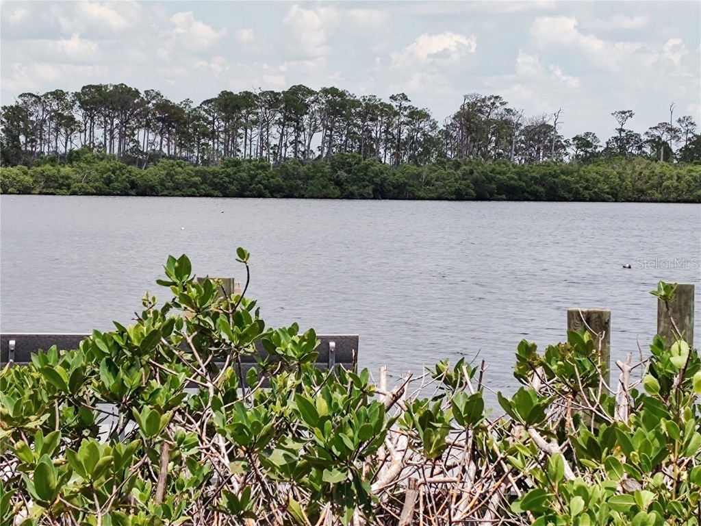 1006 Tropical Drive Bradenton FL 34208 - BRADEN RIVER TB8398551 image41