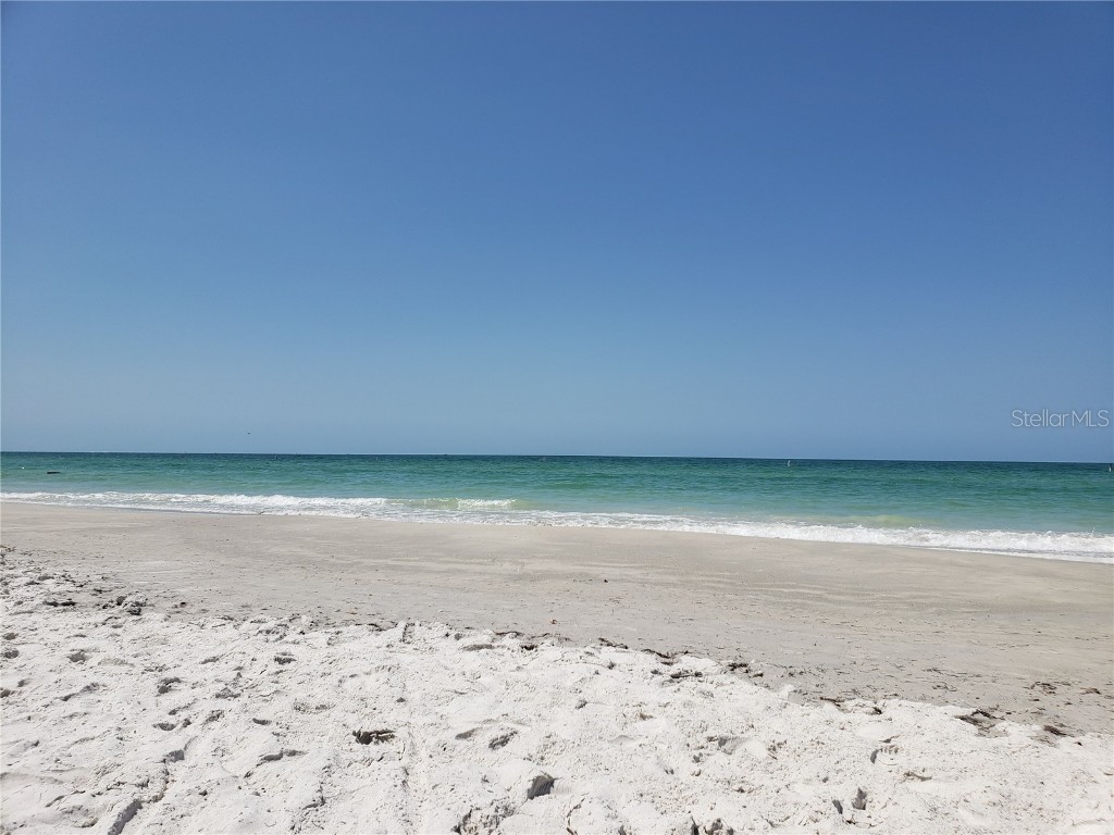 1006 Tropical Drive Bradenton FL 34208 - BRADEN RIVER TB8398551 image43