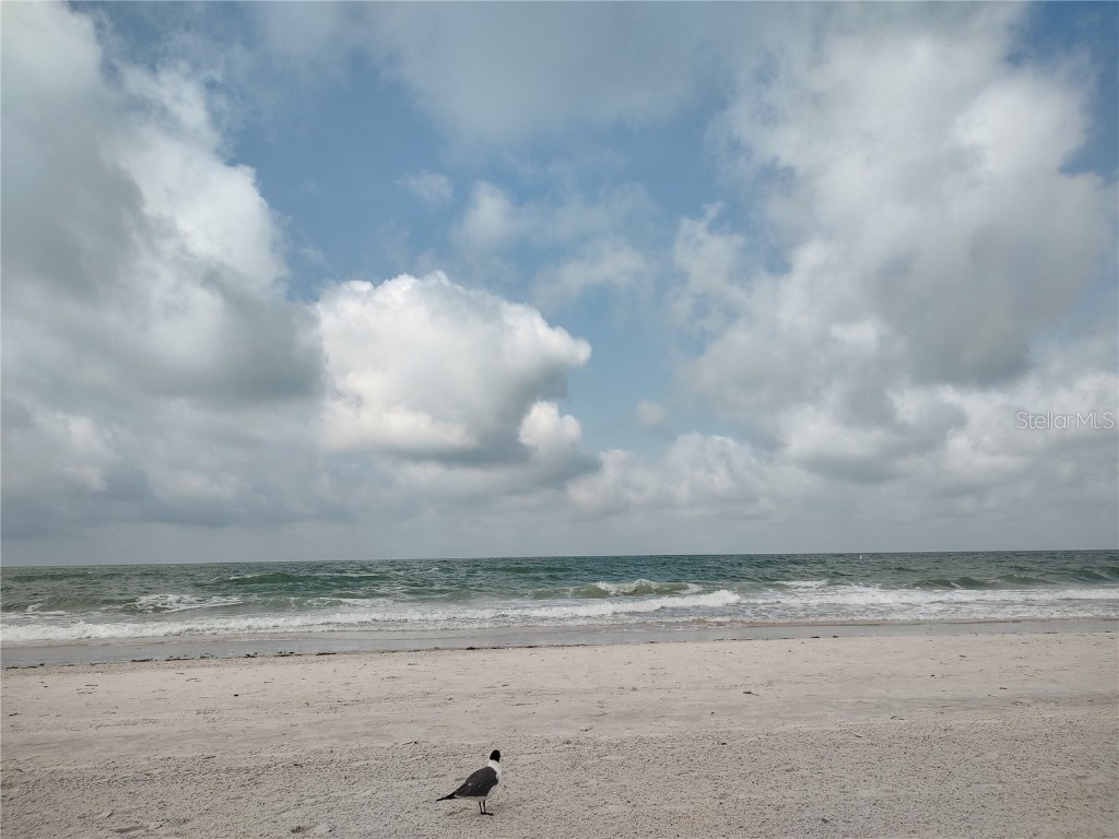 1006 Tropical Drive Bradenton FL 34208 - BRADEN RIVER TB8398551 image44