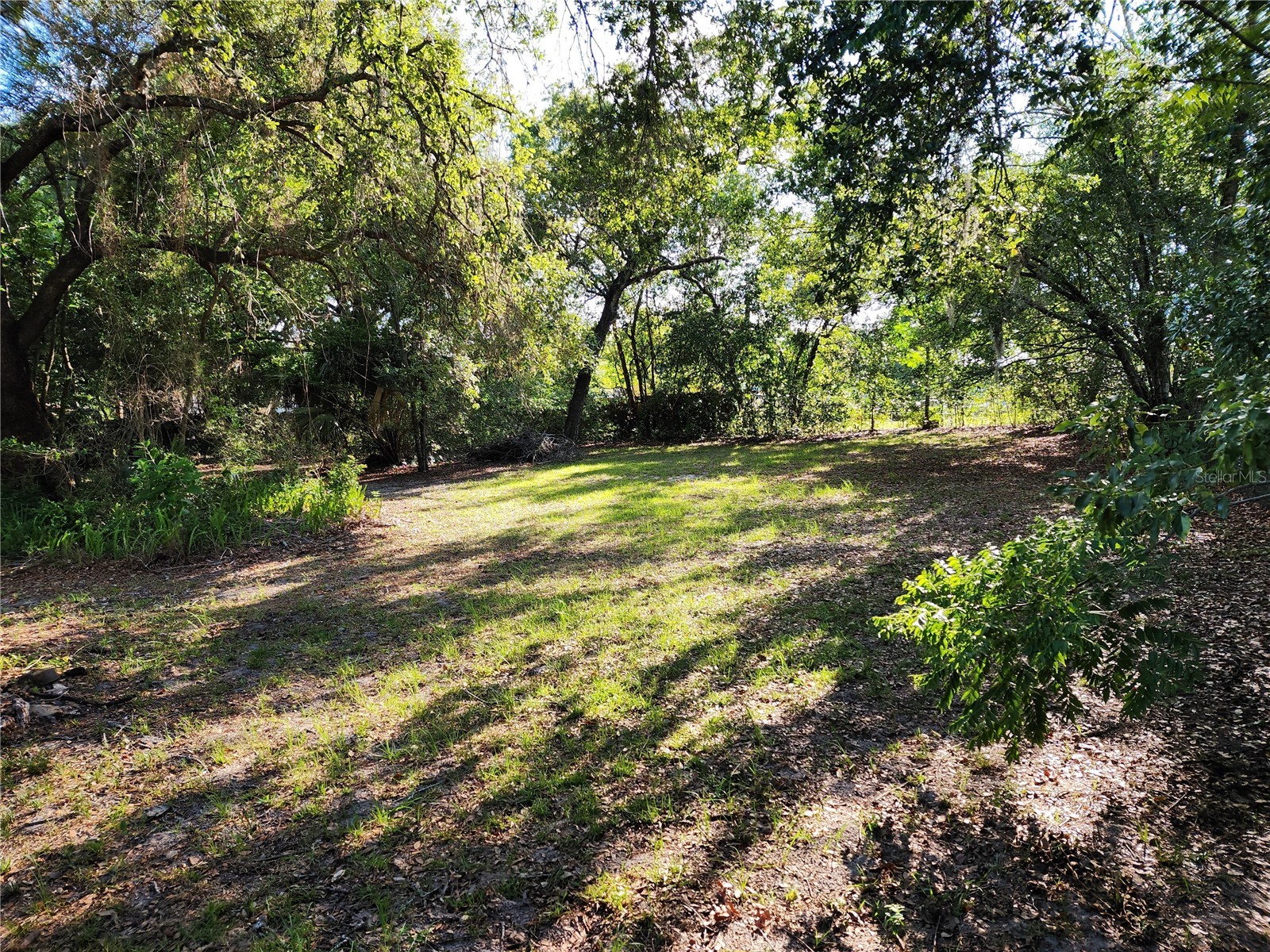 1006 Virginia Avenue Altamonte Springs FL 32701 O6408407 image12
