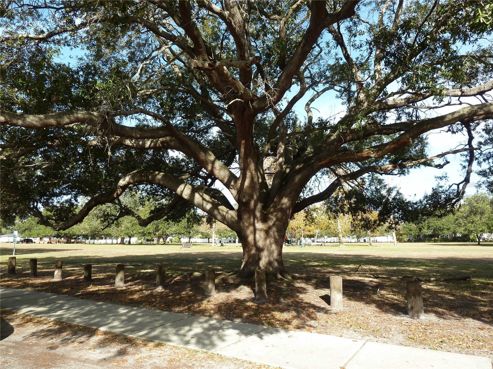 1006 W Adalee Street Tampa FL 33603 TB8462619 image7