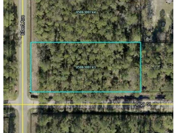 10060 Ebert Avenue Hastings FL 32145 FC297057 image1