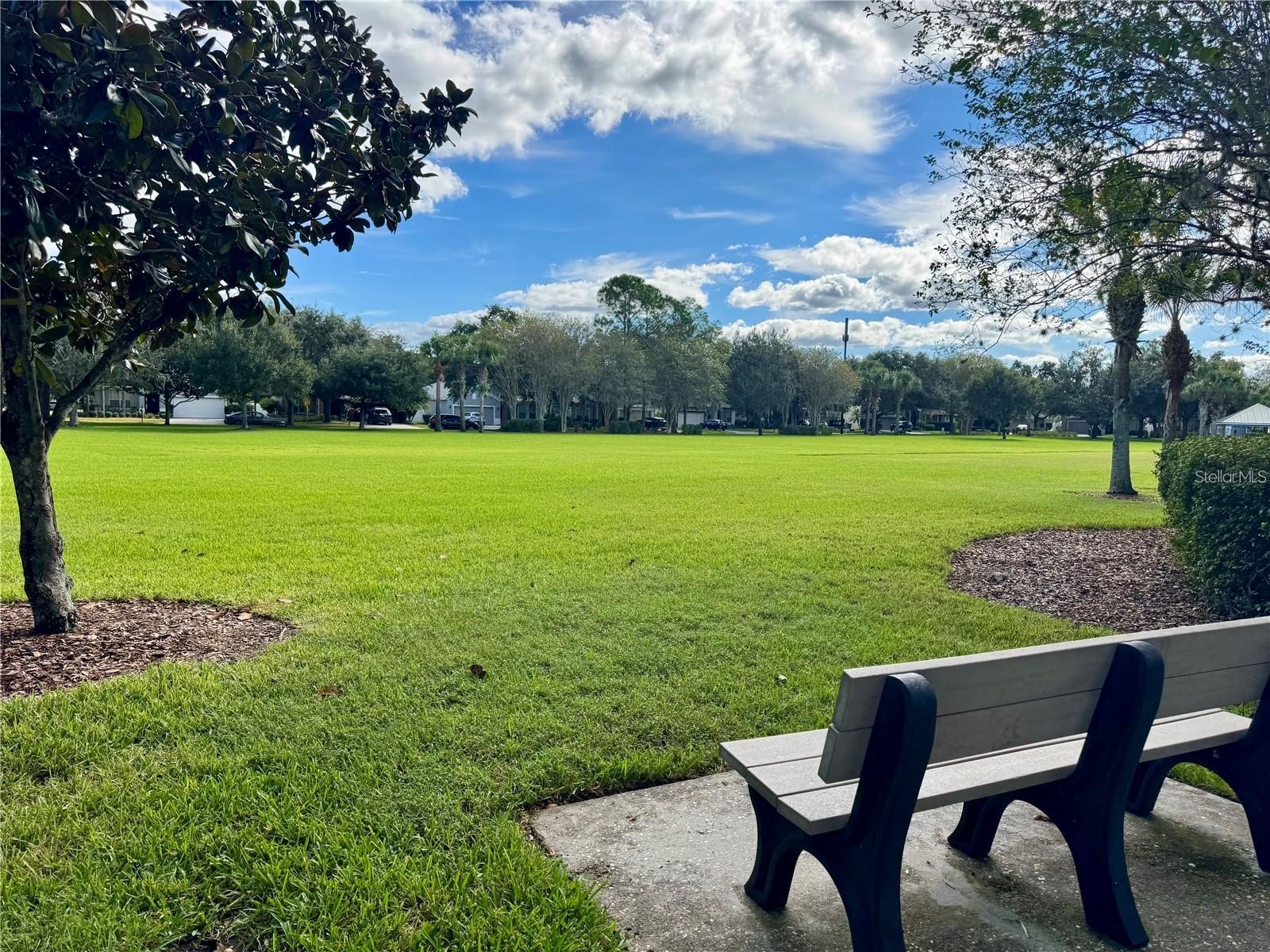 10060 Fenrose Terrace Orlando FL 32827 - LAKE NONA O6396005 image47