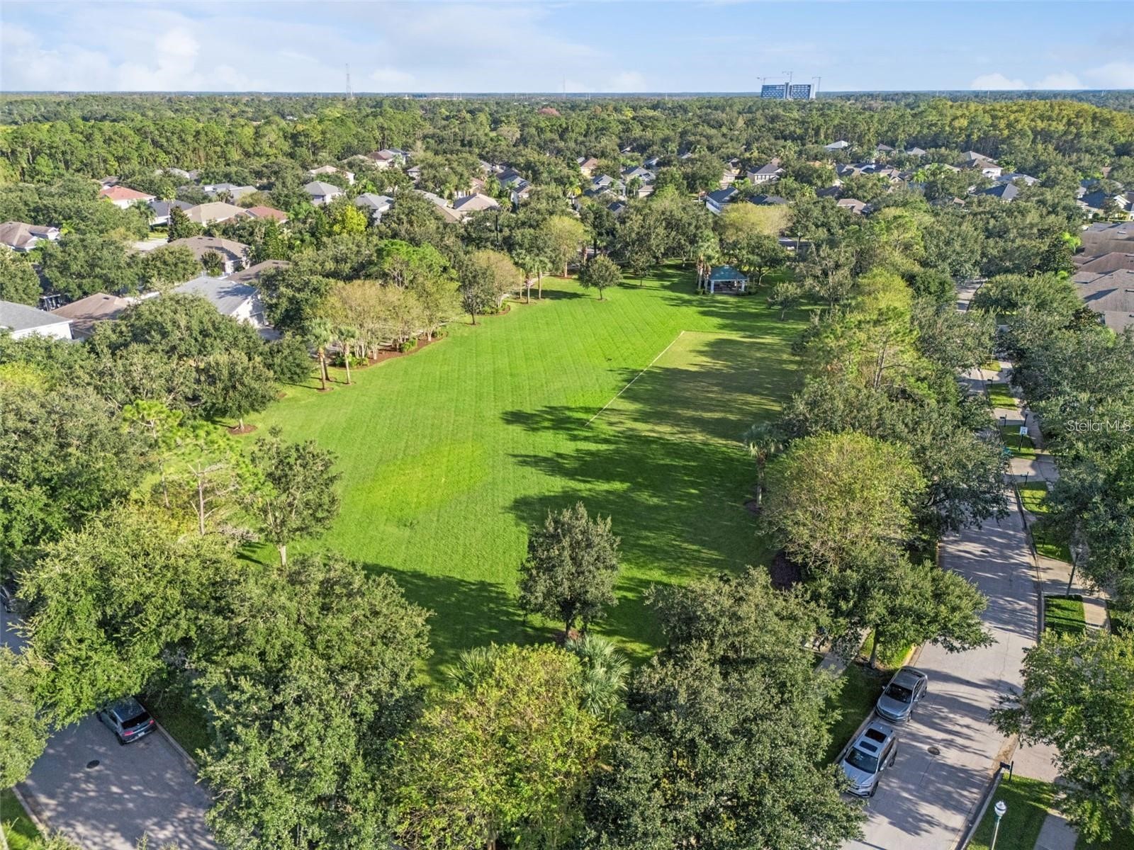 10060 Fenrose Terrace Orlando FL 32827 - LAKE NONA O6396005 image52