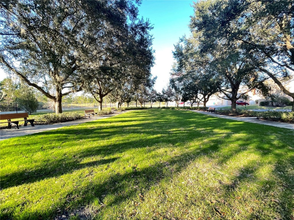 10060 Hartford Maroon Road Orlando FL 32827 O6348959 image41