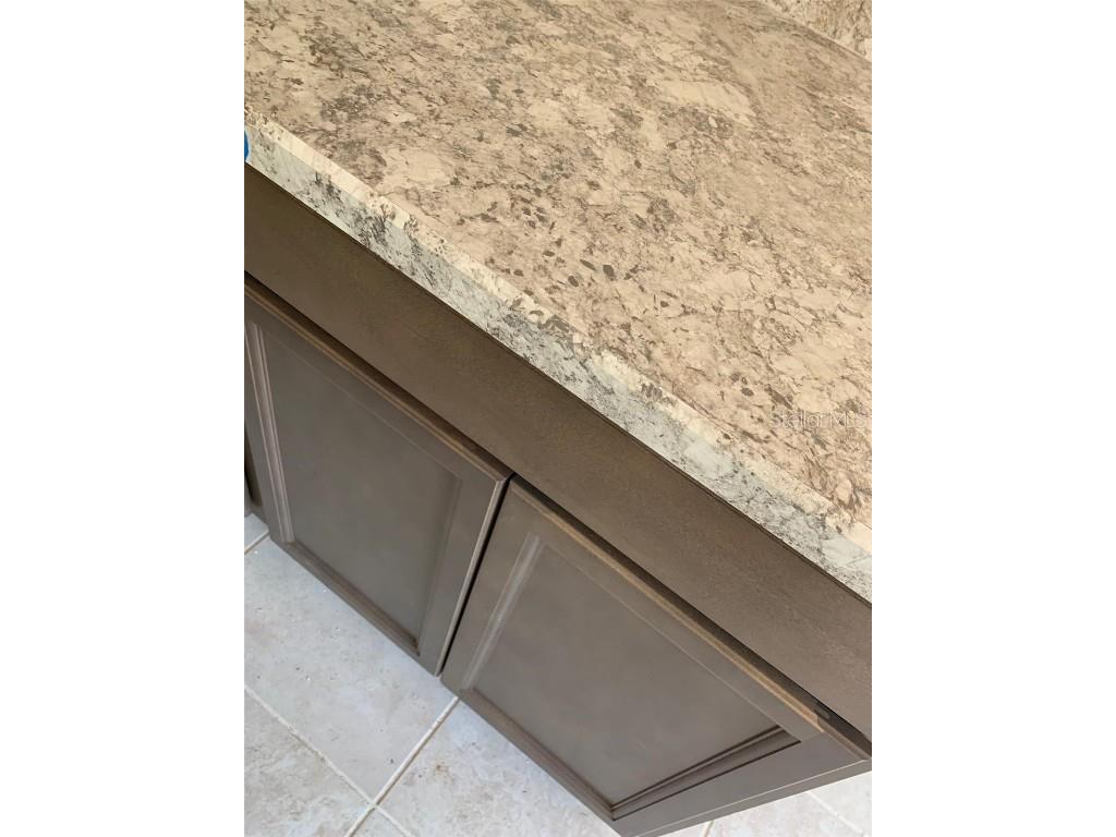 10060 N Carver Drive Citrus Springs FL 34434 OM698608 image4