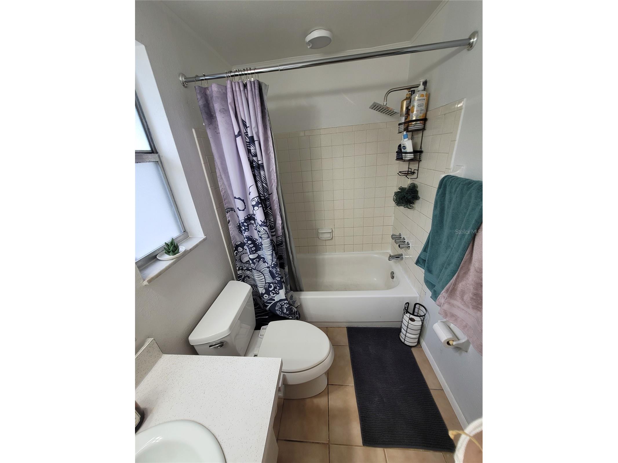 10061 61st Way N Pinellas Park FL 33782 TB8516442 image32