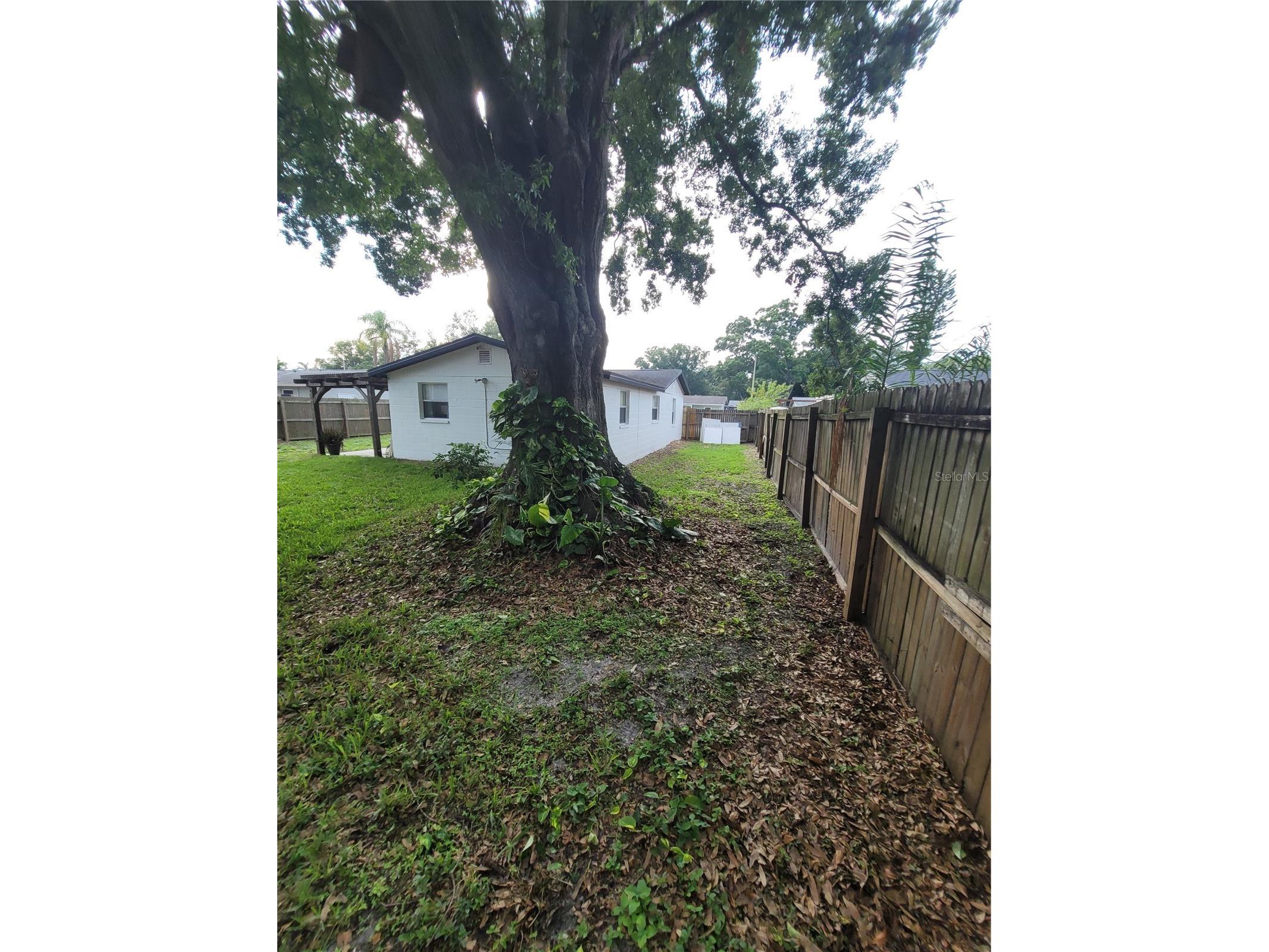 10061 61st Way N Pinellas Park FL 33782 TB8516442 image45