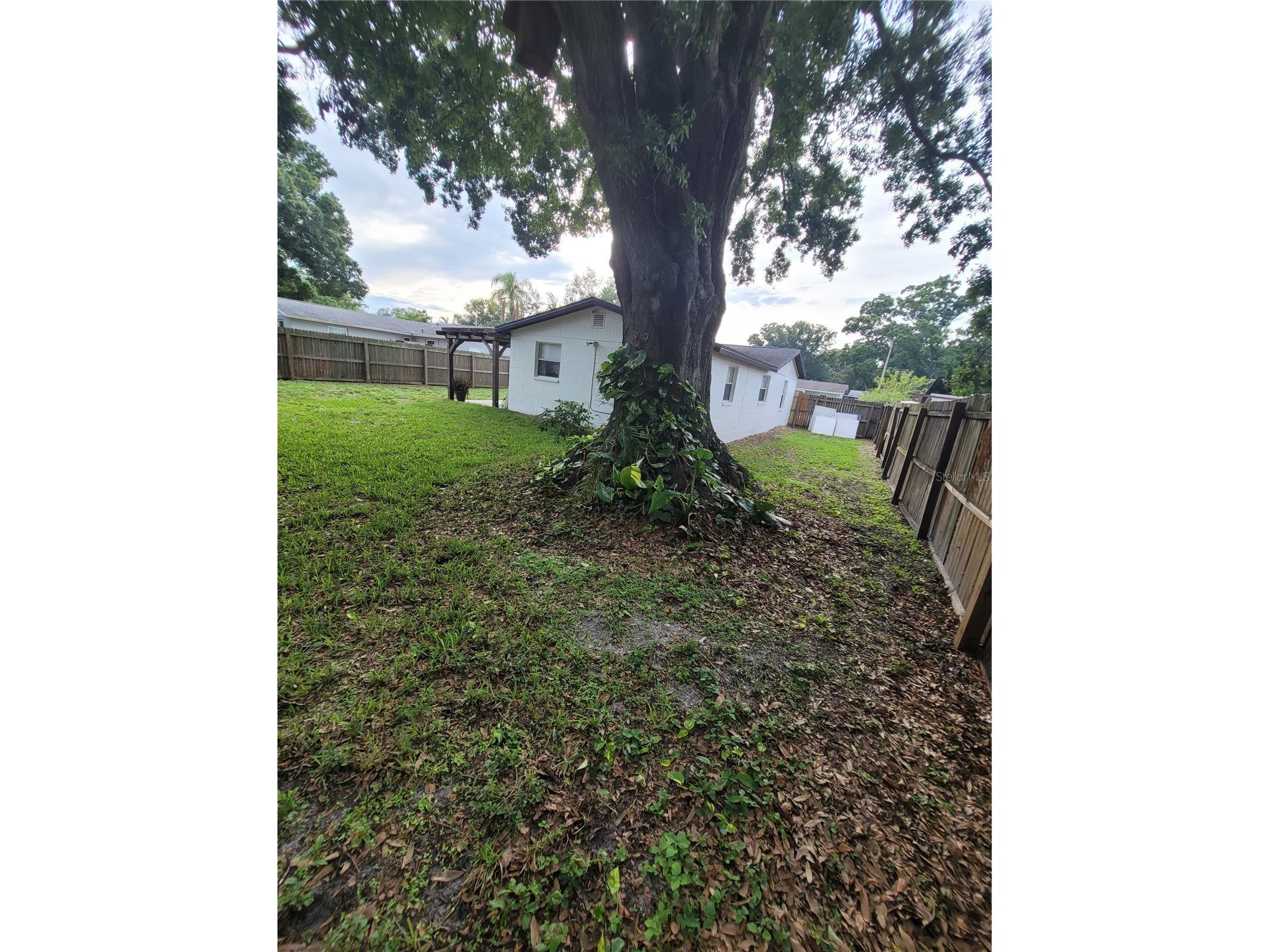 10061 61st Way N Pinellas Park FL 33782 TB8516442 image46