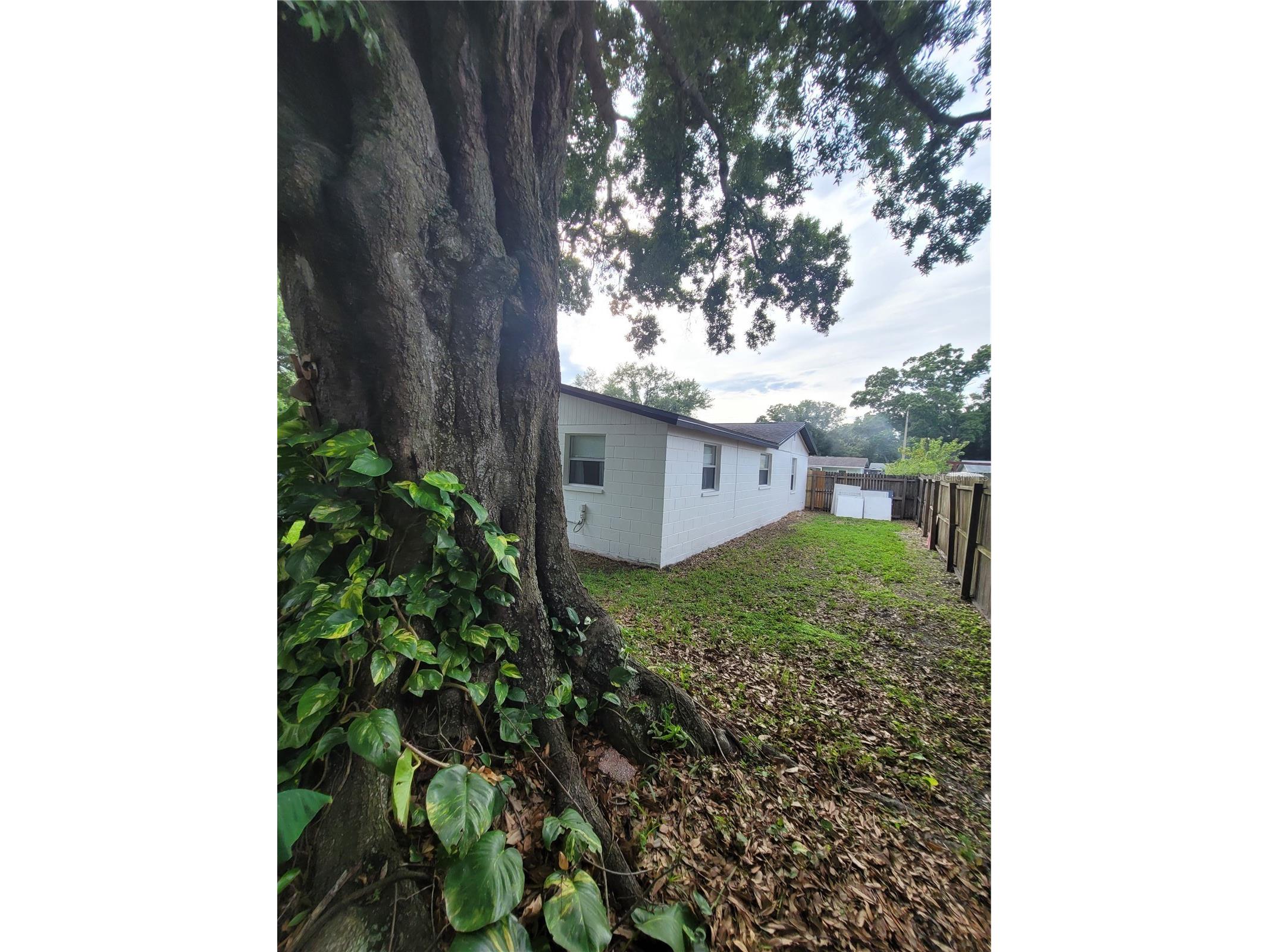 10061 61st Way N Pinellas Park FL 33782 TB8516442 image48