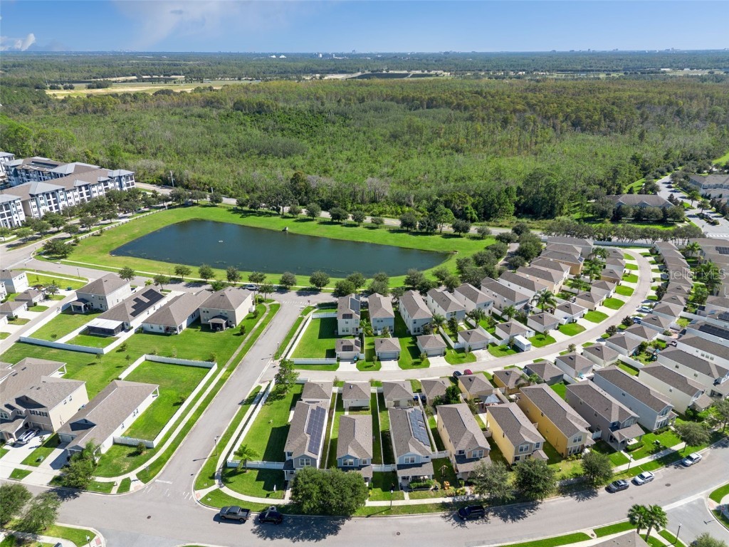 10061 Bedtime Story Drive Winter Garden FL 34787 O6358280 image61