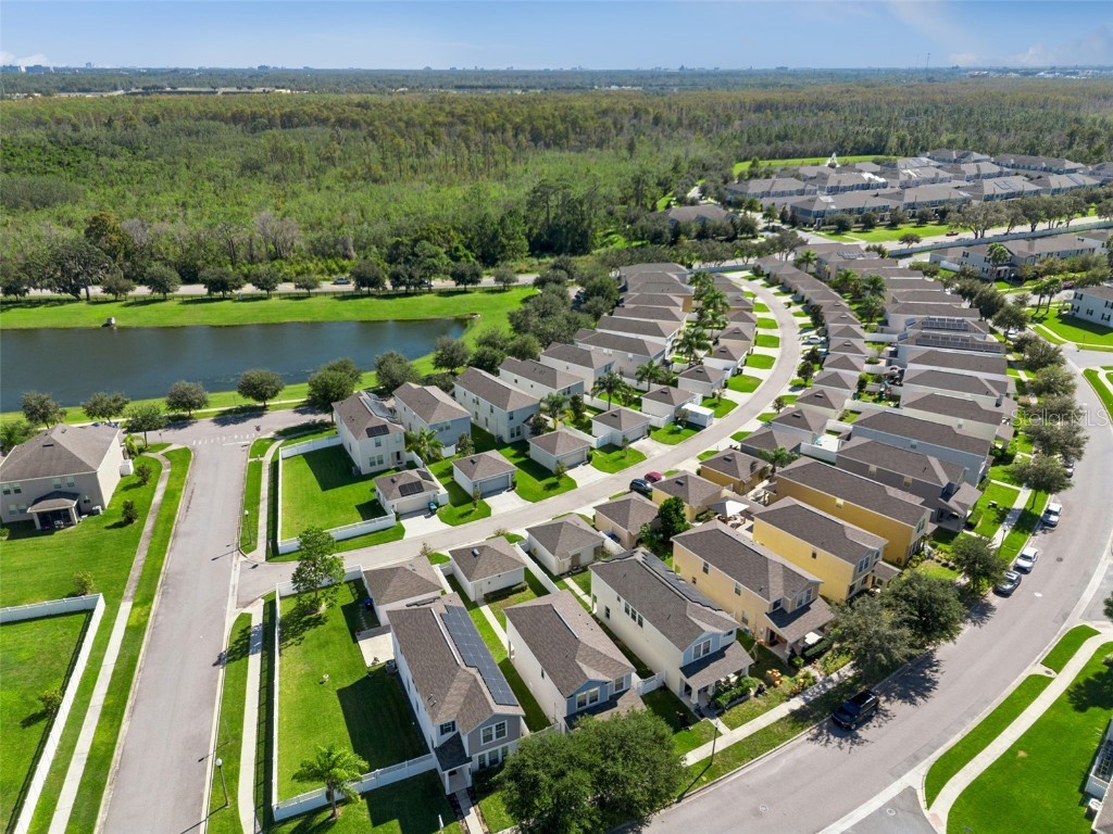 10061 Bedtime Story Drive Winter Garden FL 34787 O6358280 image62