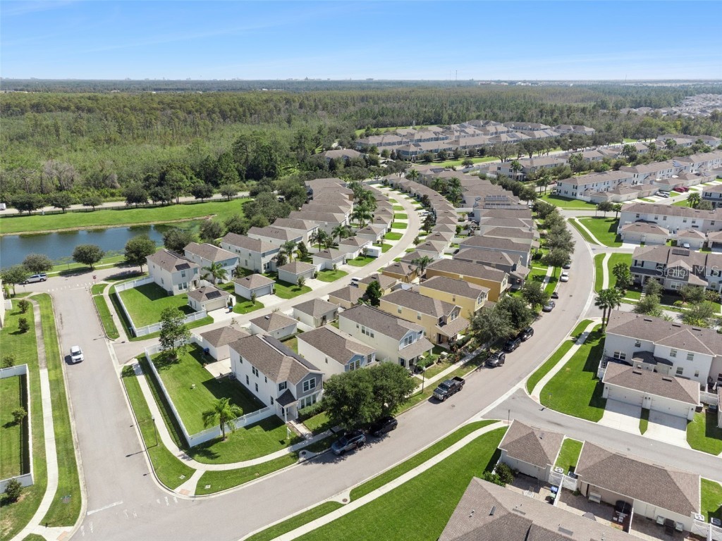 10061 Bedtime Story Drive Winter Garden FL 34787 O6358280 image70