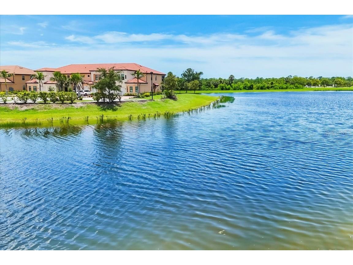 10061 Cozy Grove Drive Venice FL 34293 N6139369 image20