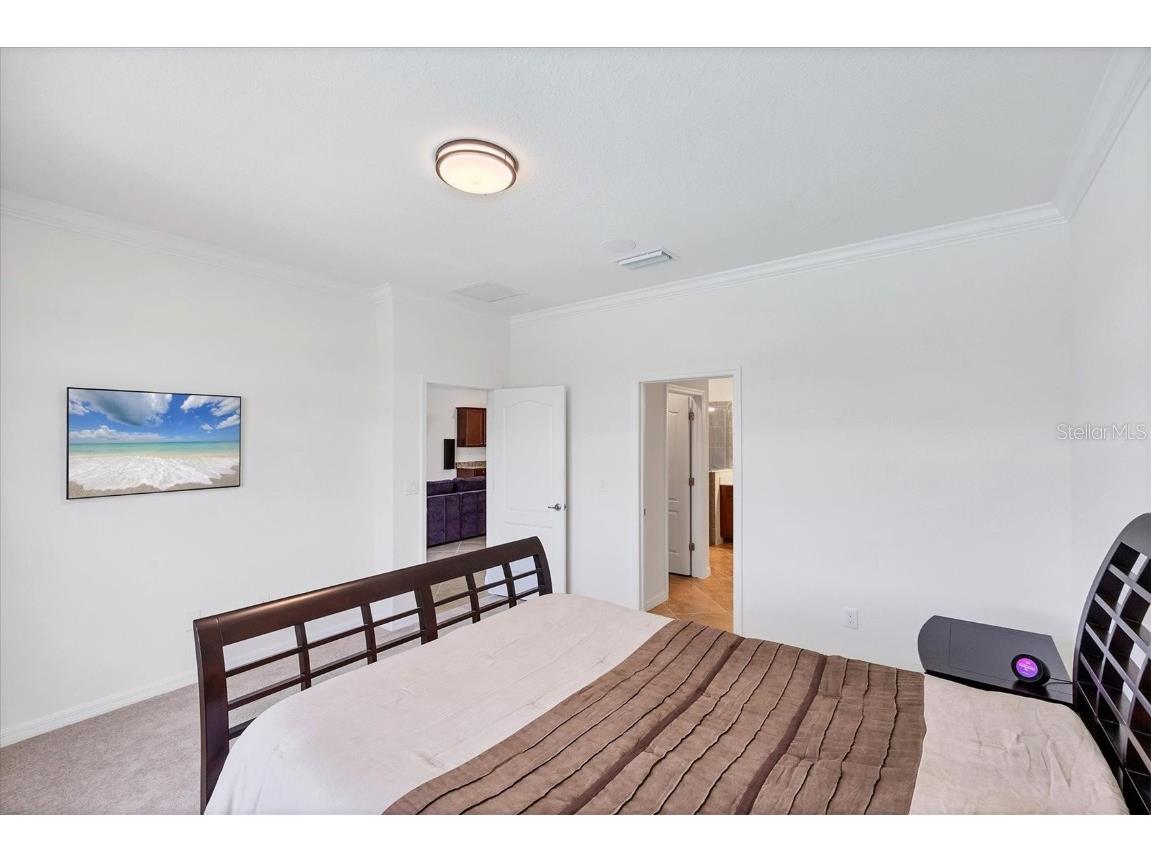 10061 Cozy Grove Drive Venice FL 34293 N6139369 image98
