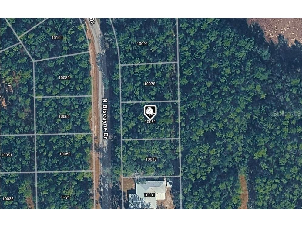 10061 N Biscayne Drive Citrus Springs FL 34434 OM718790 image1