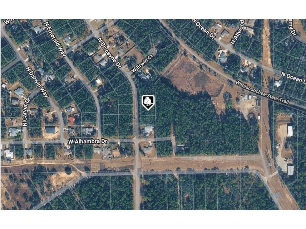 10061 N Biscayne Drive Citrus Springs FL 34434 OM718790 image2