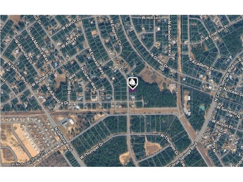 10061 N Biscayne Drive Citrus Springs FL 34434 OM718790 image3