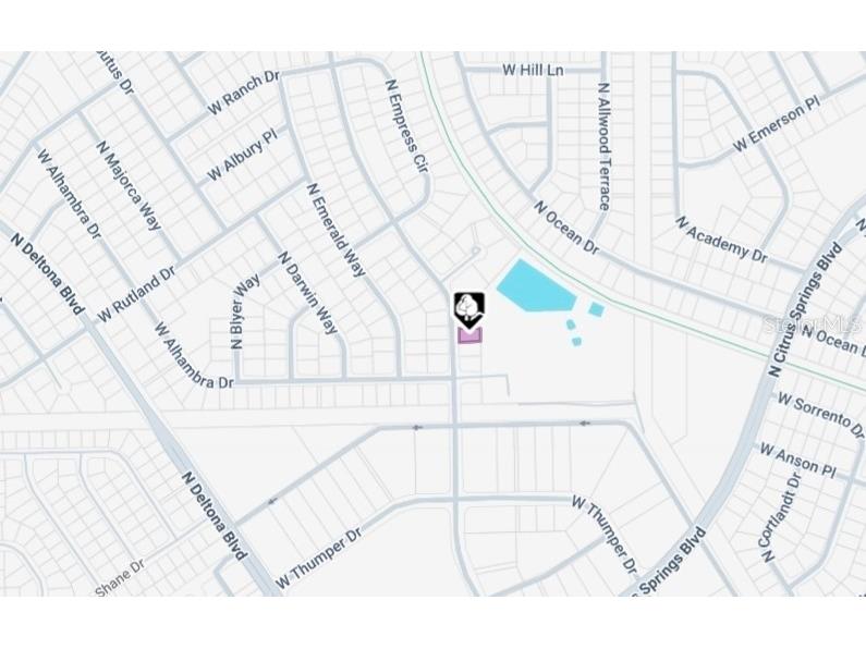 10061 N Biscayne Drive Citrus Springs FL 34434 OM718790 image4