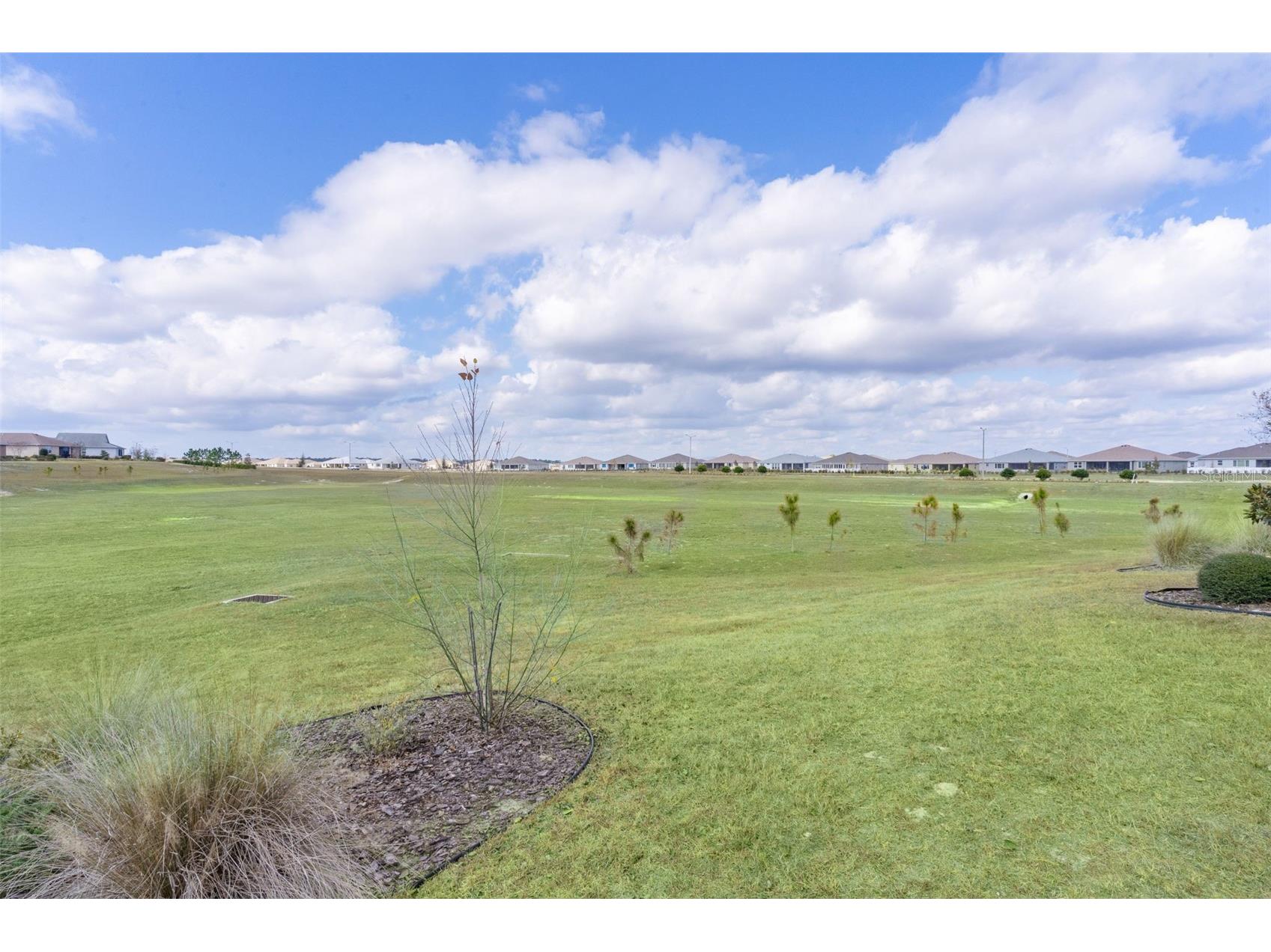 10061 SW 89th Loop Ocala FL 34481 OM715918 image39