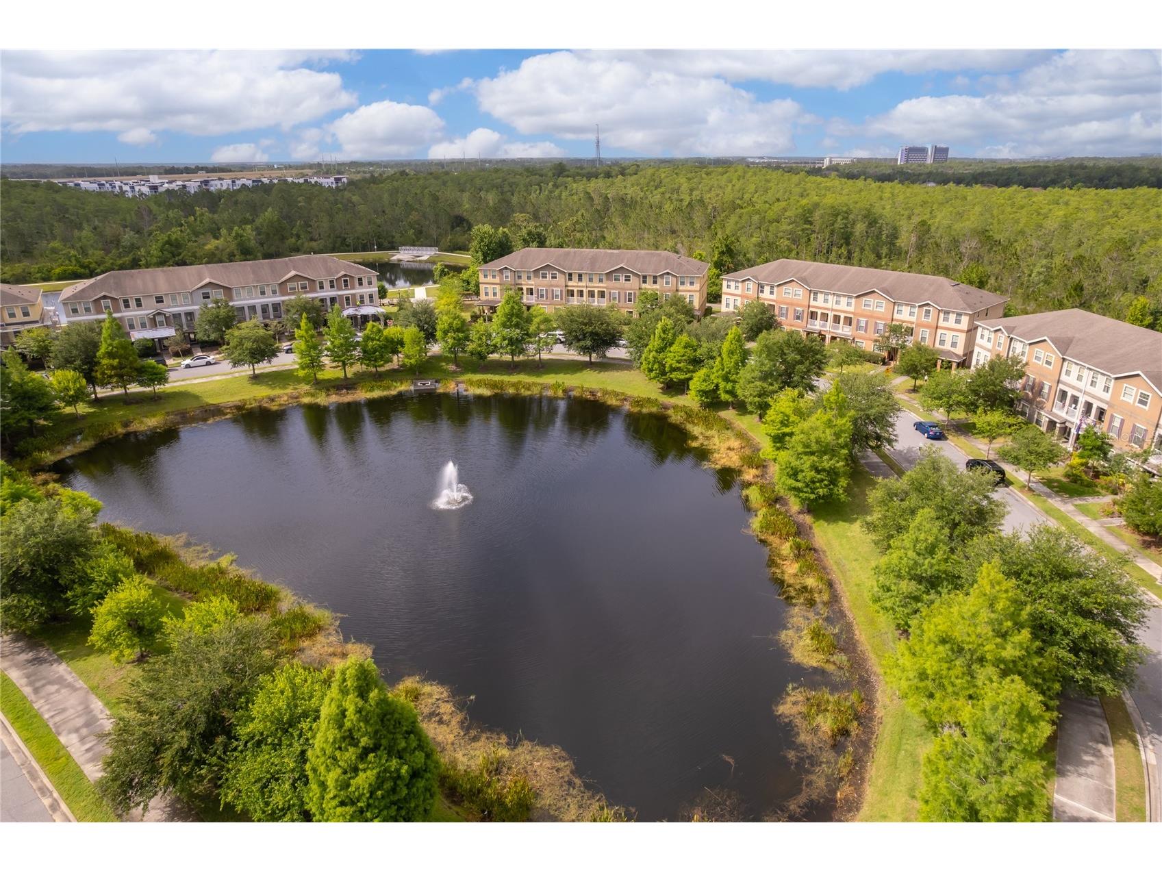 10061 Town Lake Drive Orlando FL 32832 O6413589 image30