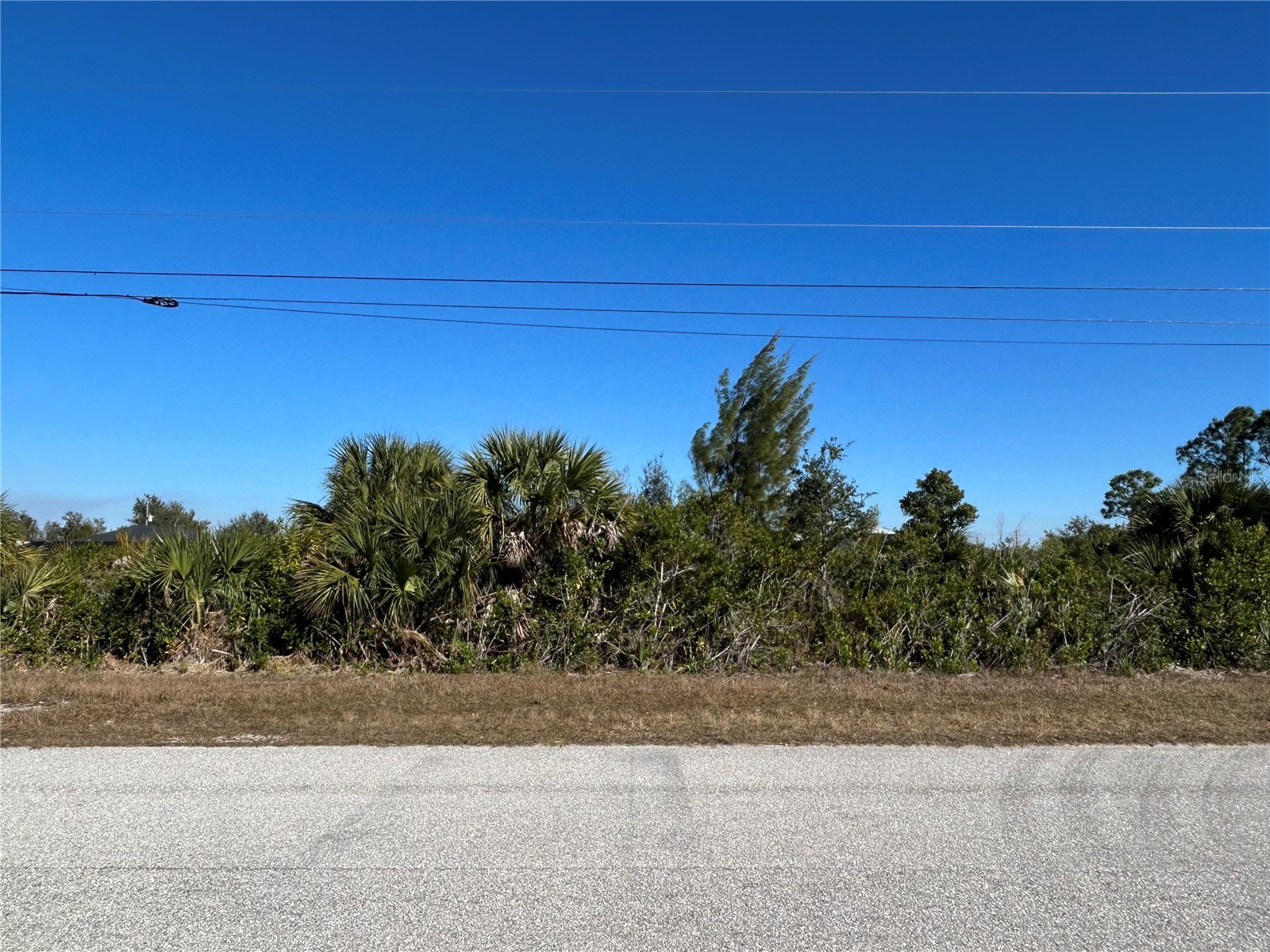 10064 Sunday Drive Port Charlotte FL 33981 D6145718 image3