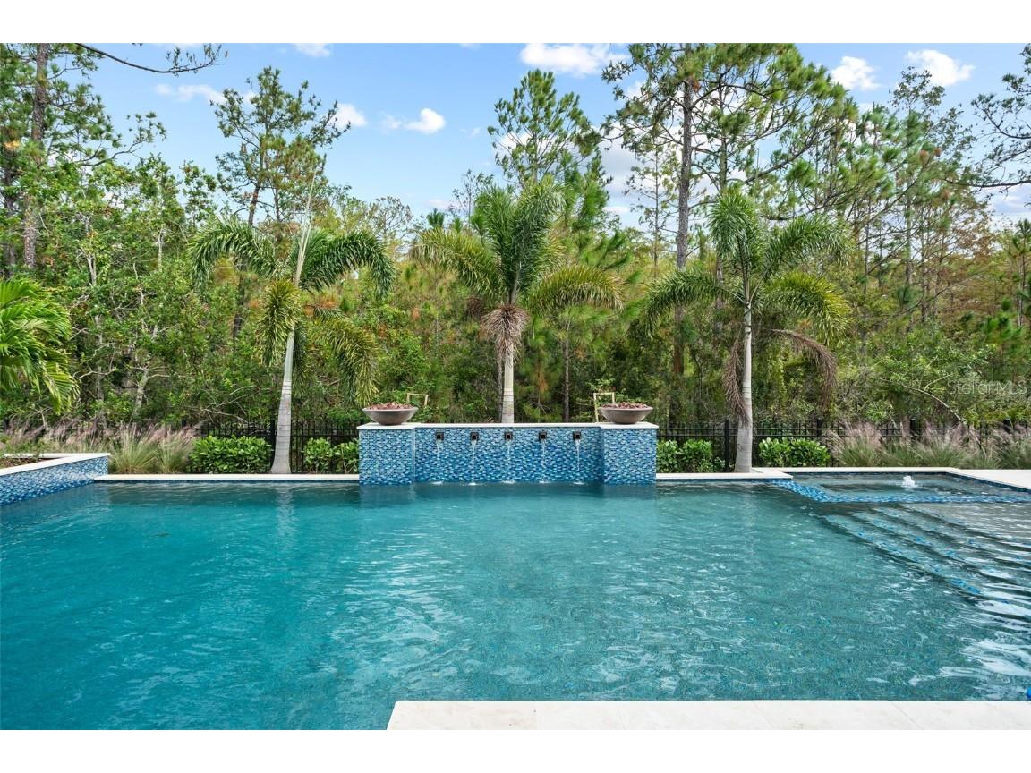 10065 Autumn Mist Ln Golden Oak FL 32836 O6339148 image56