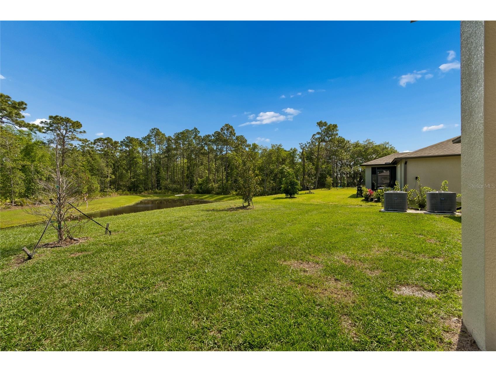 10065 Gentle Rain Drive Land O Lakes FL 34638 TB8492658 image42