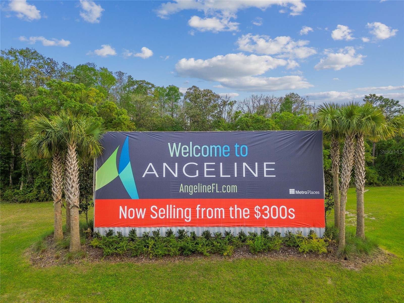 10065 Gentle Rain Drive Land O Lakes FL 34638 TB8492658 image50