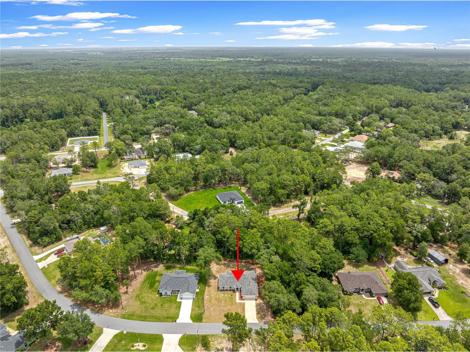 10065 N Langdon Road Citrus Springs FL 34434 OM725714 image54