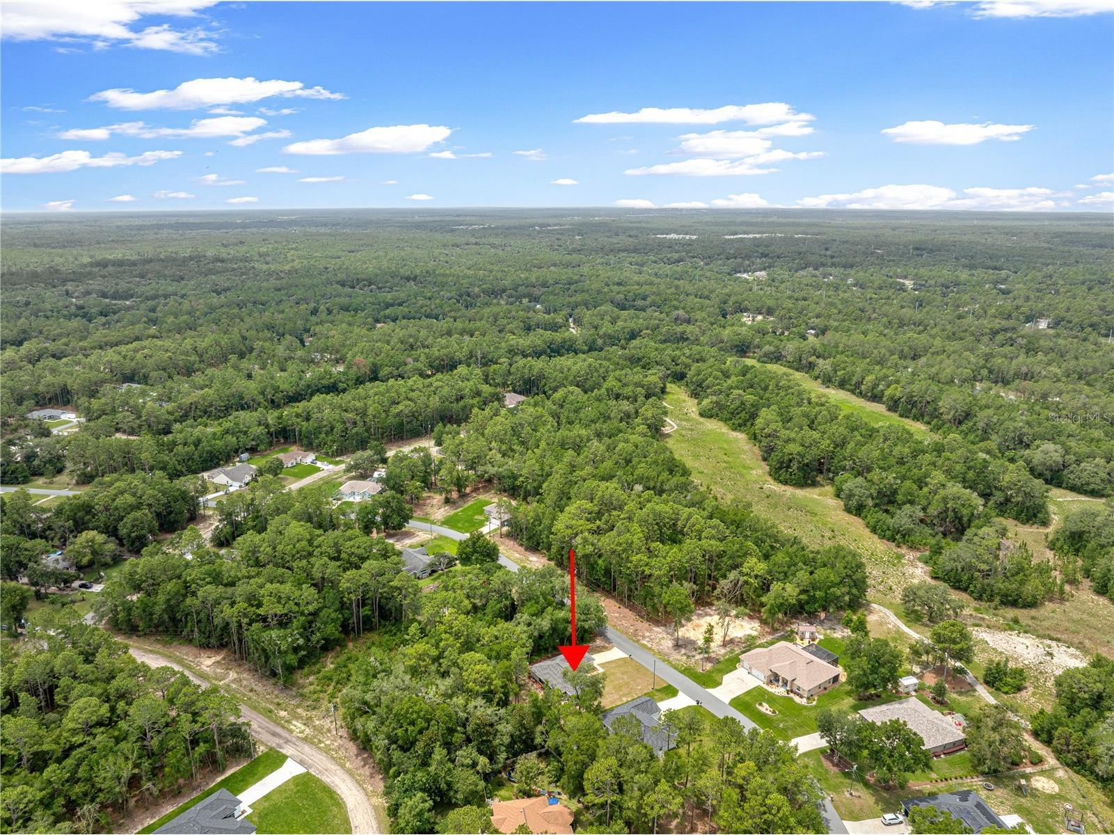 10065 N Langdon Road Citrus Springs FL 34434 OM725714 image56