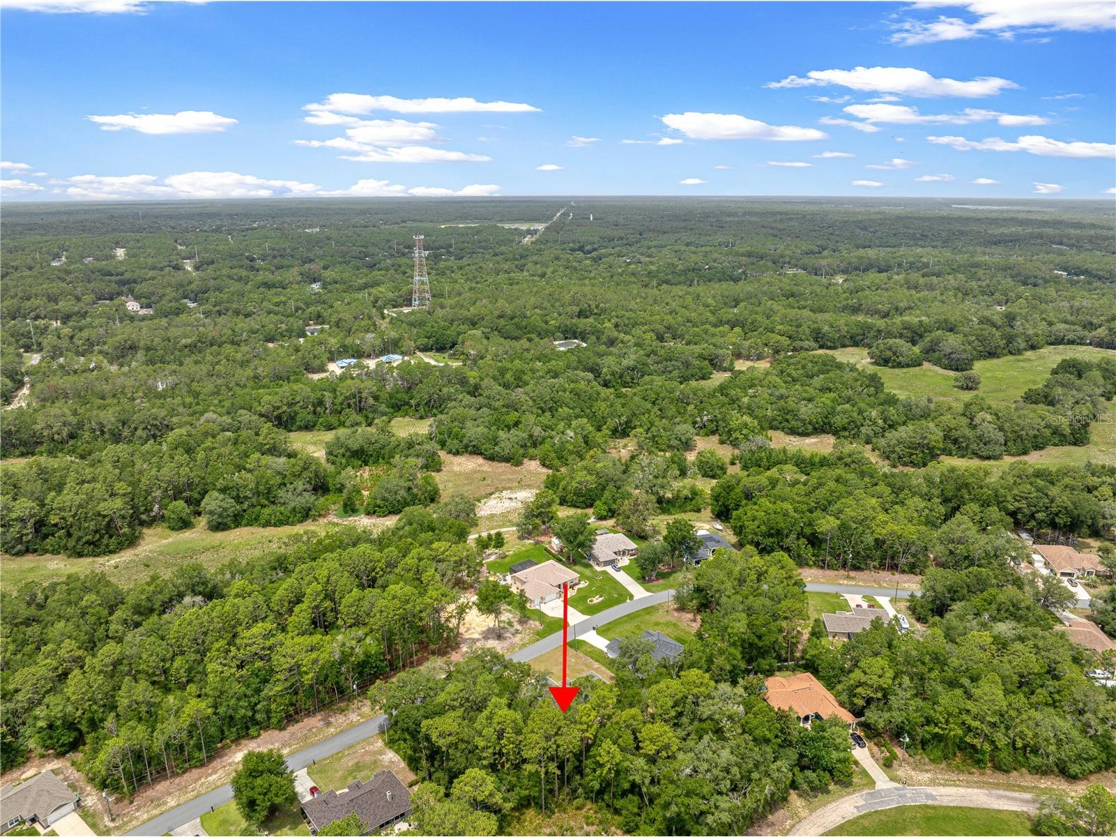 10065 N Langdon Road Citrus Springs FL 34434 OM725714 image57