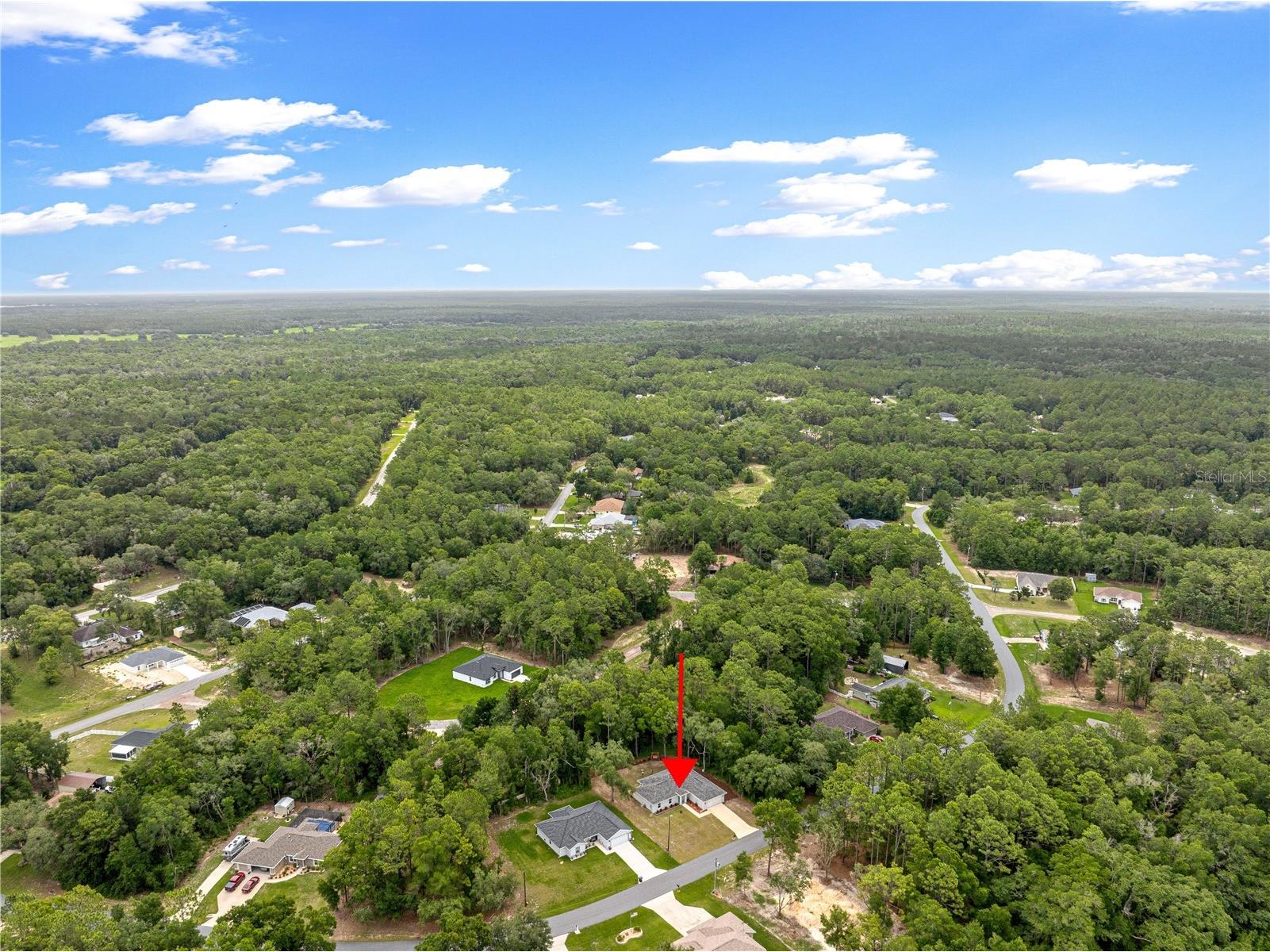 10065 N Langdon Road Citrus Springs FL 34434 OM725714 image58