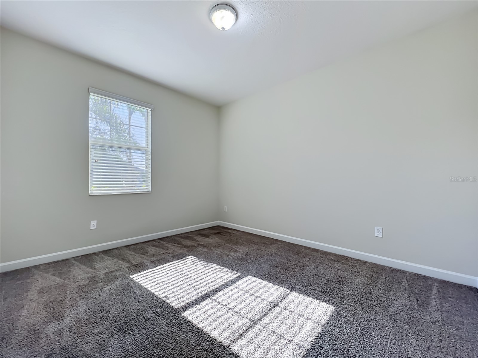 10066 Lovegrass Lane Orlando FL 32832 O6404665 image35