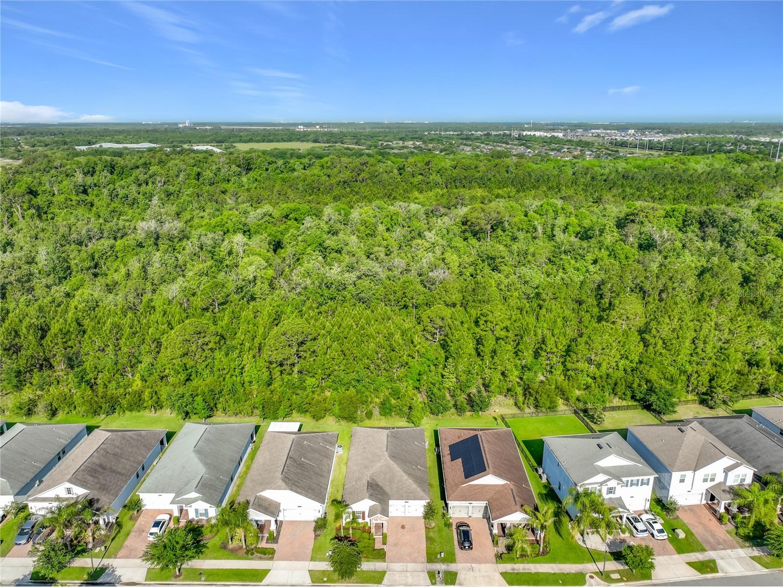 10066 Lovegrass Lane Orlando FL 32832 O6404665 image5