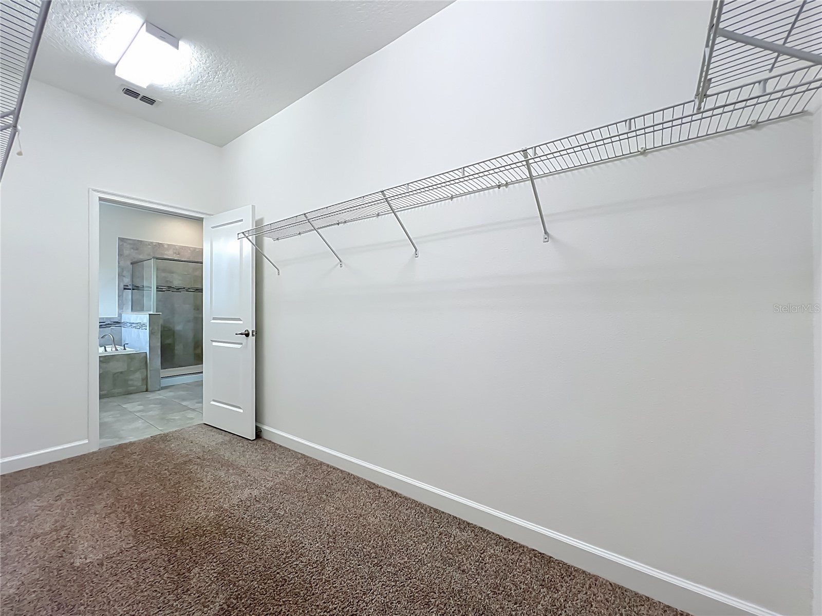 10066 Lovegrass Lane Orlando FL 32832 O6404665 image55