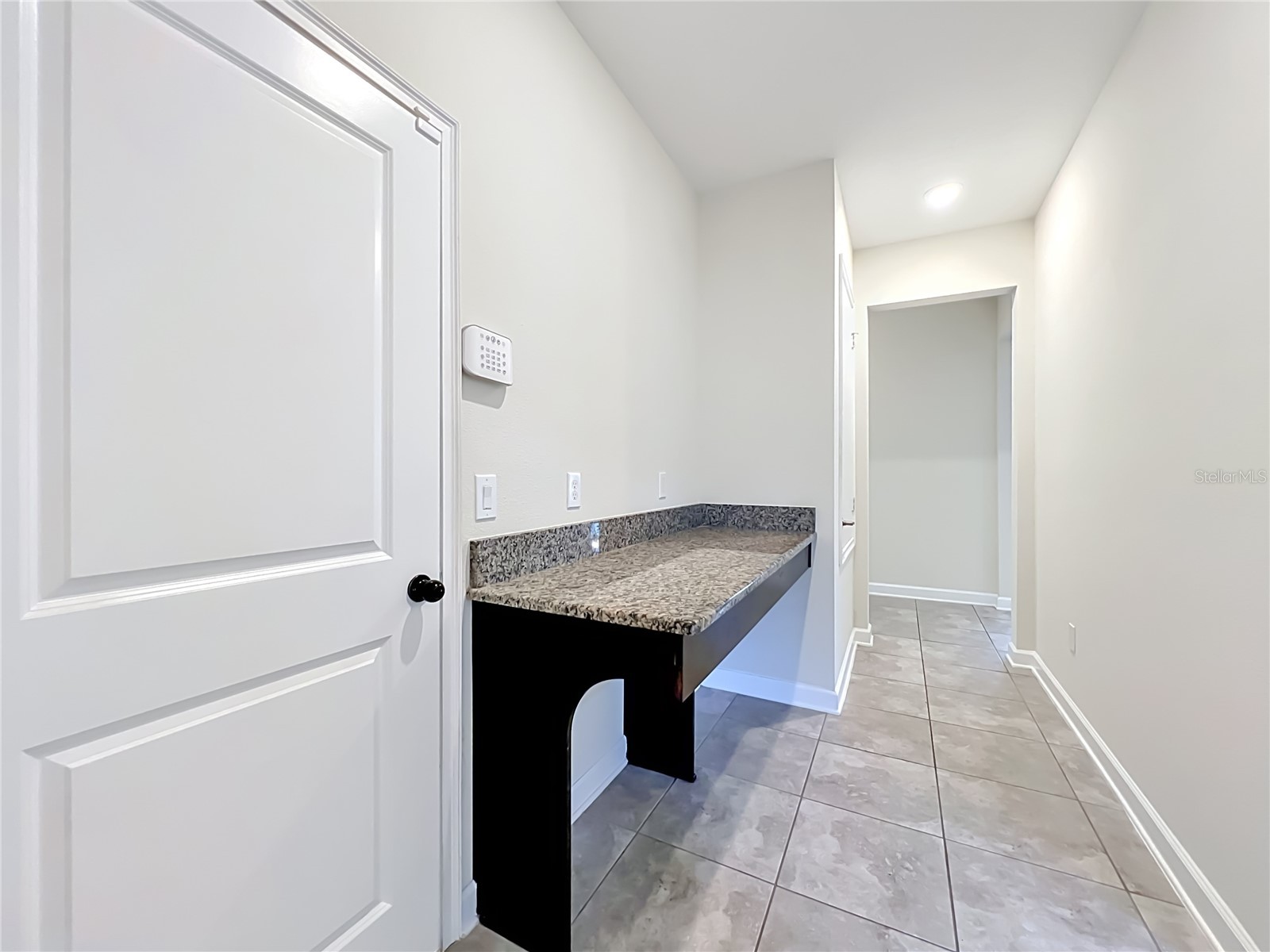 10066 Lovegrass Lane Orlando FL 32832 O6404665 image59