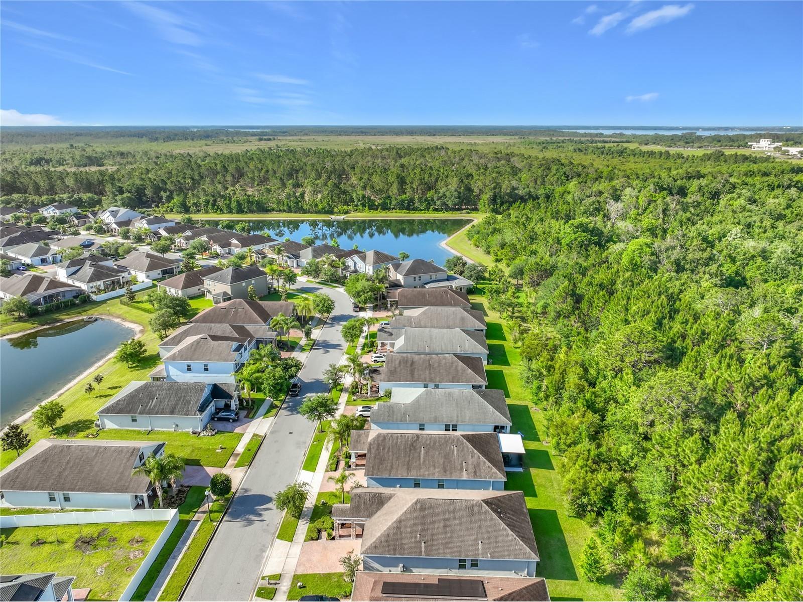 10066 Lovegrass Lane Orlando FL 32832 O6404665 image71